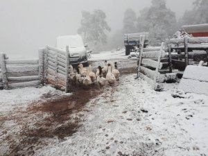Karabük’te yüksek kesimlere sezonun ilk karı düştü