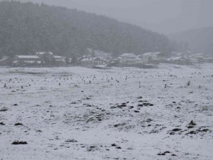 Bolu’da yoğun kar yağışı