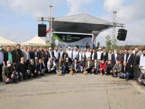 Işıklar Köyü’nde 11 bin fidan dikildi