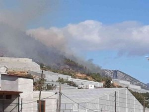 Bozyazı’daki orman yangını sürüyor