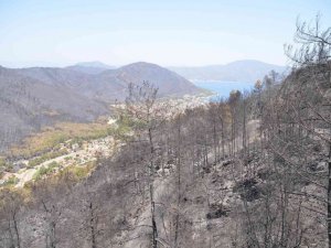 Marmaris’te yangın çalıştayı yapılacak