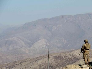 Terörden arındırılan Cudi dağı Milli Park olacak