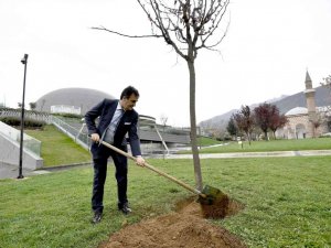Yeşil Bursa’ya Osmangazi katkısı