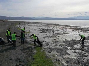 Metrelerce geri çekilen Van Gölü sahilinde 40 ton çöp toplandı