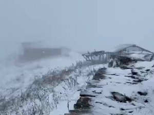 Artvin’in Arhavi ilçesinde bulunan Nopapeni Yaylası’na mevsimin ilk karı düştü
