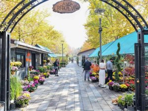 Meyve ağacı dikim mevsimi başladı: Anfa bitki evi meyve ağacı çeşitliliğiyle Başkentlileri bekliyor