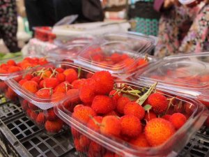 Zahmetle toplanan dağ çilekleri, tezgahlarda yerini aldı