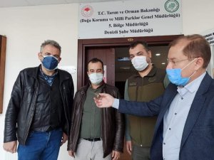 Beyaz cennette bulunan siyam ikizi kara kaplumbağaları koruma altına alındı