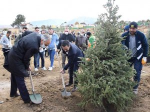 Konya büyükşehir Belediyesi 5 bin fidanı toprakla buluşturdu
