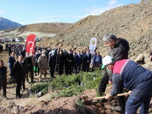 Oltu’da 6 bin fidan toprakla buluştu