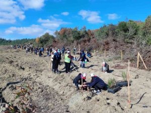Bu da fidan dikme ordusu