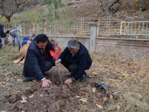 Kato Dağı eteklerindeki okullar yeşilleniyor