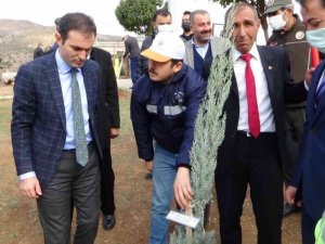 Batman’da dikilen fidanlara 15 Temmuz şehitlerinin isimleri verildi