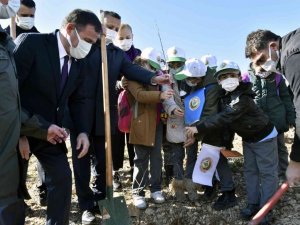Gümüşhane’de Milli Ağaçlandırma Gününde binlerce fidan toprakla buluştu