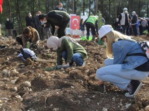 İzmir’de 65 bin fidan toprakla buluştu