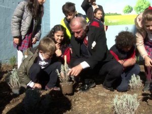 Bayrampaşa’da ilkokul öğrencilere 16 bin meşe palamudu dağıtıldı
