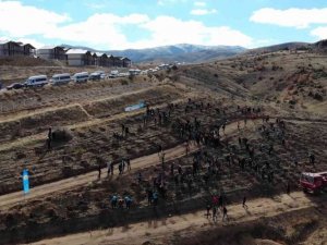 1744 rakımlı Dinek dağında fidanlar toprakla buluşturuldu