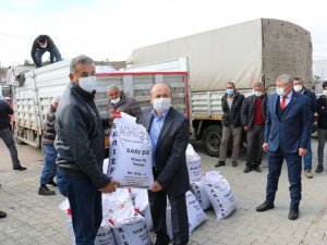 Atıl araziler fiğle yeşeriyor