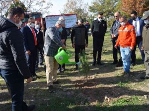 Milli ağaçlandırma gününde Didim’de fidan dikimi yapıldı
