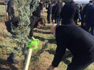 Bandırma Belediyesi ağaçlandırma projesine destek verdi.