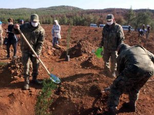 Yanan Demirciler orman alanında fidanlar toprakla buluştu