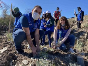 Bartın’da 39 bin 500 fidan toprakla buluşturuldu