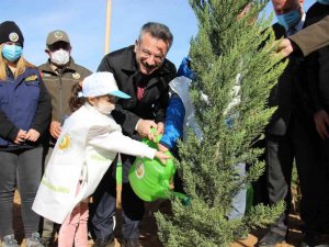 Aydın’da 8 milyon fidan toprakla buluştu