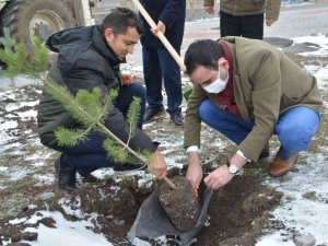 Kars’ta 2300 rakımda eksi 10 derecede fidan dikimi