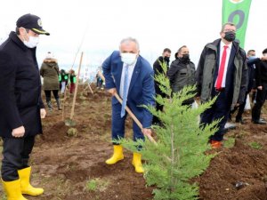 Samsun’da fidanlar toprakla buluştu: Hedef 771 bin fidan