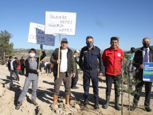 3 ay önce yanan orman, ’Milli Ağaçlandırma Günü’nde yeniden ağaçlandırıldı