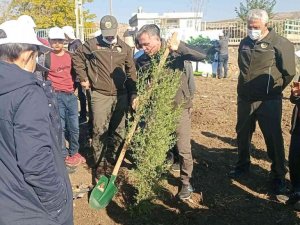 Dicle ilçesinde Milli Ağaçlandırma Günü etkinliği