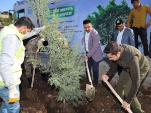 Kahta’da 2 bin 23 fidan dikildi