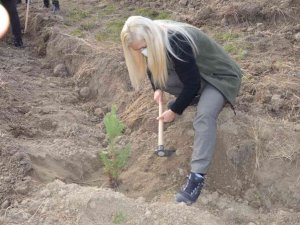 Hanönü’de bin 500 fidan toprakla buluştu