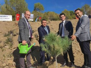 Nazilli’de Milli Ağaçlandırma Günü Etkinliği gerçekleştirildi