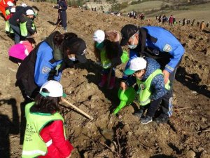 Karabük’te öğrenciler binlerce fidanı toprakla buluşturuyor