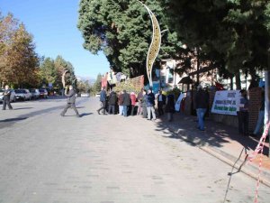 Gediz’de 10 bin fidan dağıtıldı