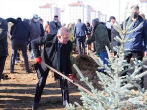 Ardahan’da binlerce fidan toprakla buluştu