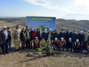 Manisa il genelinde 77 bin fidan toprakla buluştu