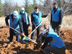 Akşehir’de 800 fidan toprakla buluşturuldu