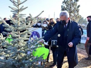 ‘Geleceğe Nefes’ projesi kapsamında Kastamonu’da 752 bin fidan yeşerecek