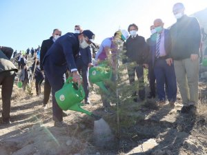 Çankırı’da 579 bin fidan toprakla buluştu