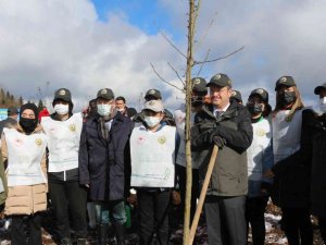 Giresun’da 80 bin fidan toprakla buluşturuldu