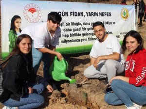 Fidanlar toprakla buluştu