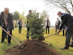 Tuşba Belediyesi’nden Milli Ağaçlandırma Günü etkinliği