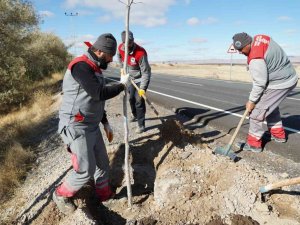 Melikgazi Belediyesi bin 111 fidanı toprakla buluşturdu