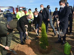 Ayvalık’ta 11 Kasım Milli Ağaçlandırma Günü kapsamında 500 fidan toprakla buluştu