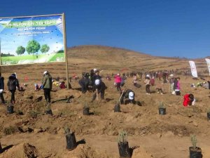 Uşak’ta hedef 1 milyon 107 bin fidan