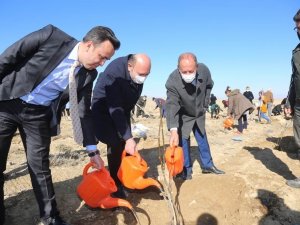 Ereğli’de binlerce fidan toprakla buluştu