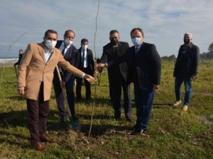 Fidanlar ormana dönüşecek