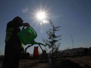 Elazığ’da ’Geleceğe Nefes Dünyaya Nefes’ etkinliğinde 23 bin fidan toprakla buluştu